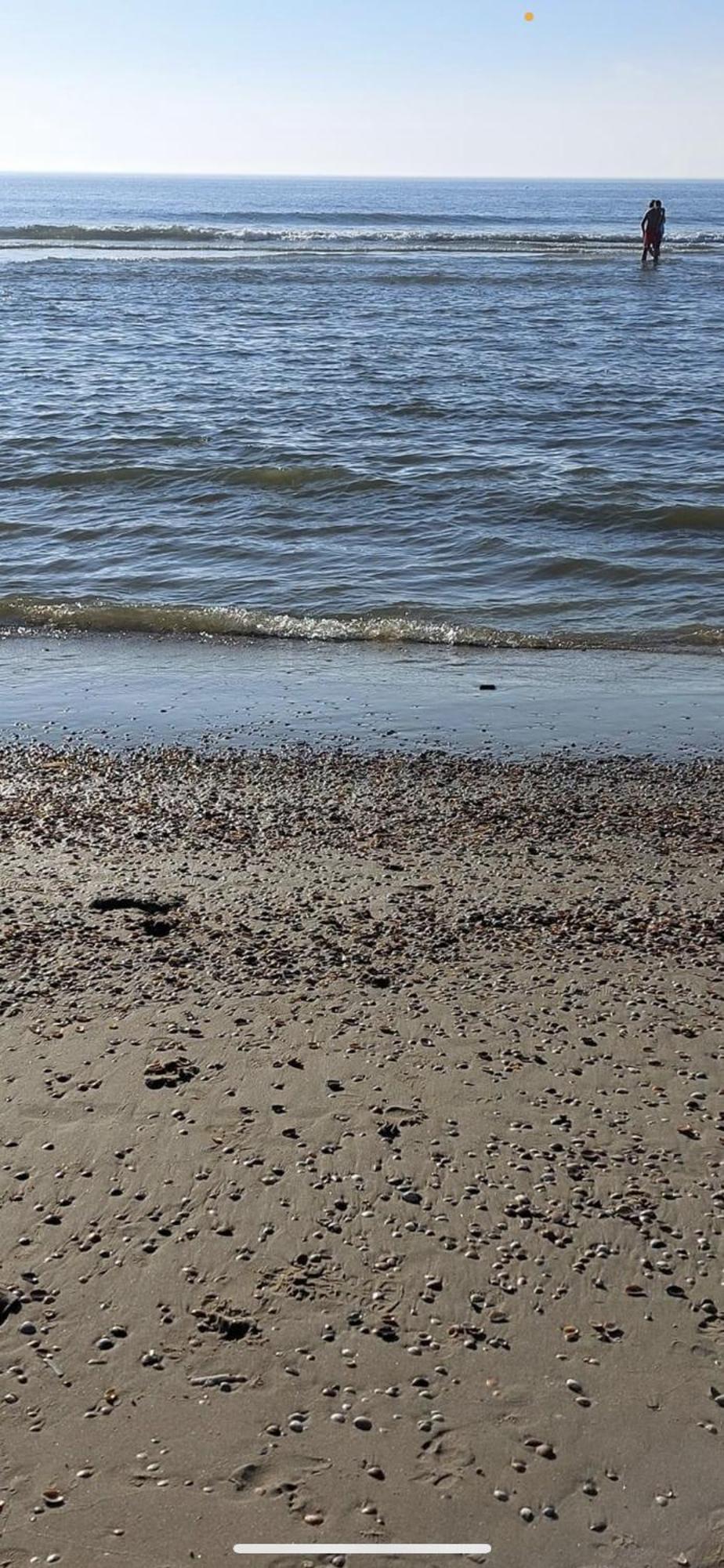 Vakantiehuisje Aan Zee Met Dakterras Rust En Strand 250 M Egmond aan Zee Exterior foto